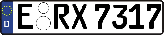 E-RX7317