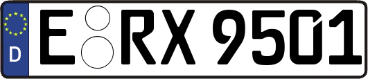 E-RX9501