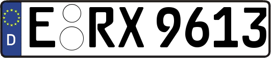 E-RX9613