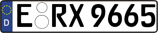E-RX9665