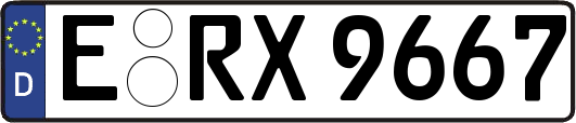 E-RX9667