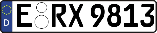 E-RX9813
