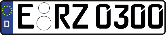 E-RZ0300
