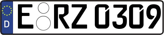 E-RZ0309