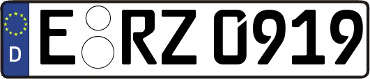 E-RZ0919