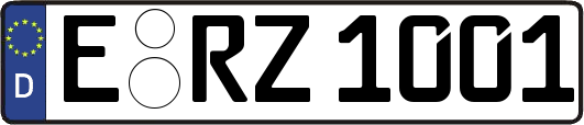 E-RZ1001