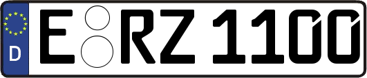 E-RZ1100