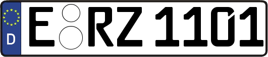 E-RZ1101