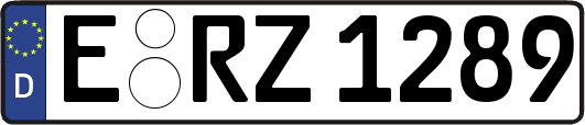 E-RZ1289