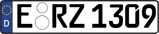 E-RZ1309