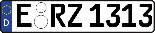 E-RZ1313