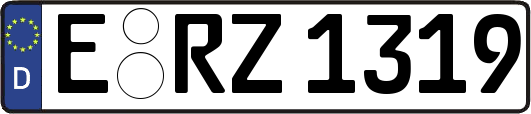 E-RZ1319
