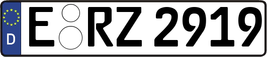 E-RZ2919