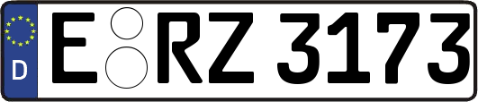 E-RZ3173