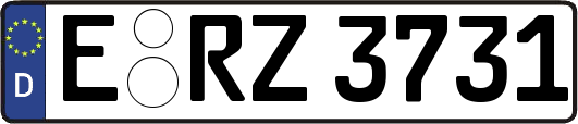 E-RZ3731