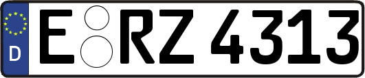 E-RZ4313
