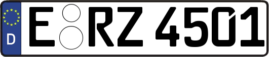 E-RZ4501