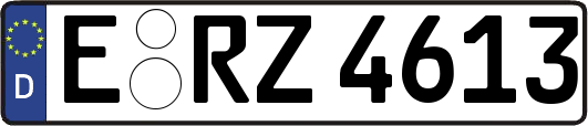 E-RZ4613