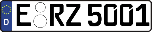 E-RZ5001