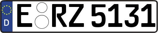 E-RZ5131