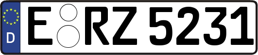 E-RZ5231