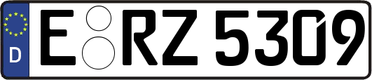 E-RZ5309