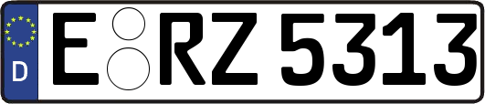 E-RZ5313