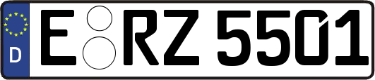 E-RZ5501