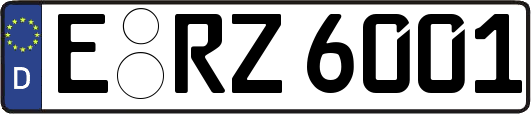 E-RZ6001