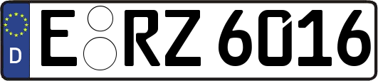 E-RZ6016
