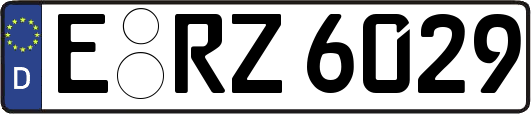 E-RZ6029