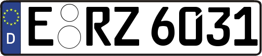 E-RZ6031