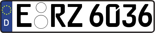 E-RZ6036
