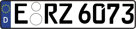 E-RZ6073