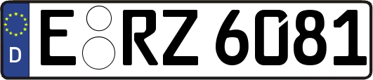 E-RZ6081