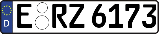 E-RZ6173