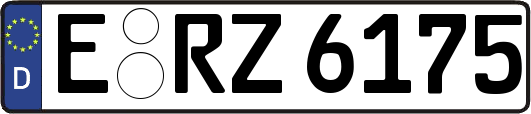 E-RZ6175