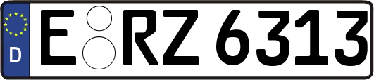 E-RZ6313