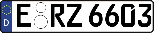 E-RZ6603