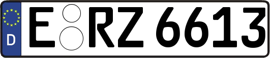 E-RZ6613