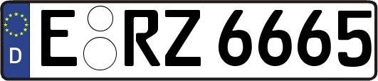 E-RZ6665