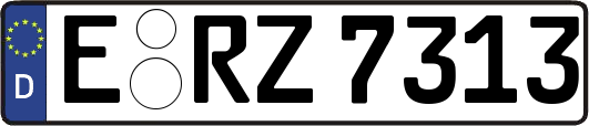 E-RZ7313