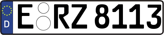 E-RZ8113