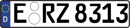 E-RZ8313