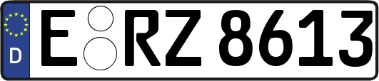E-RZ8613