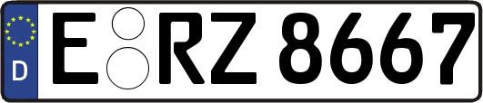 E-RZ8667