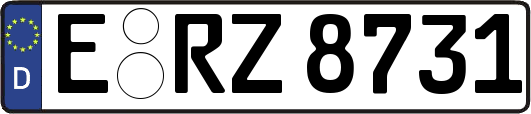 E-RZ8731