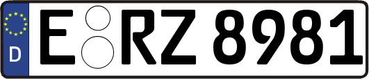 E-RZ8981