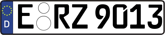 E-RZ9013