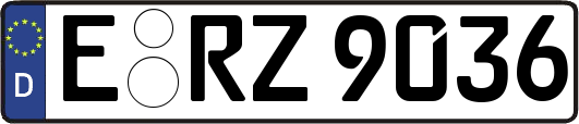 E-RZ9036